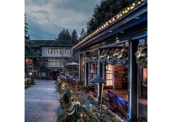 Уличная гирлянда Feron Белт-лайт 230V CL25-100 48167