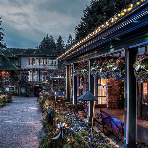 Уличная гирлянда Feron Белт-лайт 230V CL25-100 48167, купить в Минске по самой низкой цене