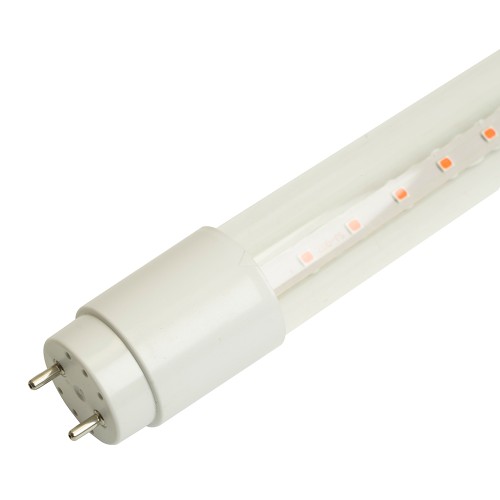 Лампа светодиодная для растений T8 Feron LB-7063 G13 стекло 0,6м 11W 175-265V красно-синий спектр 51662, купить в Минске по самой низкой цене