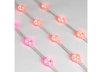 Светодиодный модуль Arlight Solex-SPI-3535-3-12V RGB 120deg 029240