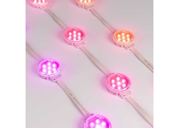 Светодиодный модуль Arlight SPI-F7-D50 24V RGB-RAM-Auto 036826