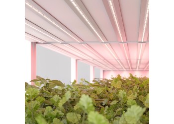 Светодиодная лента Arlight 11W/m 66Led/m 2835SMD красный 5M FITOLUX-A66-8mm 24V Red660 045214