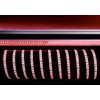 Лента светодиодная Deko-Light 3528-120-12V-red-5m 840231, купить в Минске по самой низкой цене