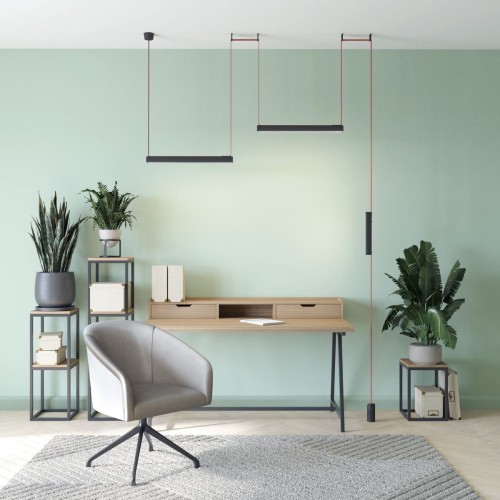 Трековая ременная система Denkirs Belty Set DK55SET18-01-BR, купить в Минске по самой низкой цене