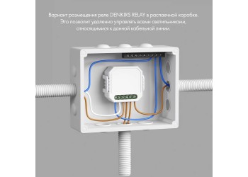 Wi-Fi реле-диммер двухканальное Denkirs 2x100Вт RL1004-DM/1