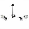 Подвесная люстра Evoluce Rametto SLE154843-05, купить в Минске по самой низкой цене