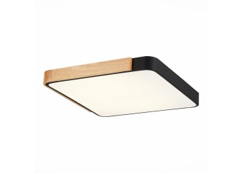 Потолочный сетодиодный светильник Evoluce Festa SLE201242-01