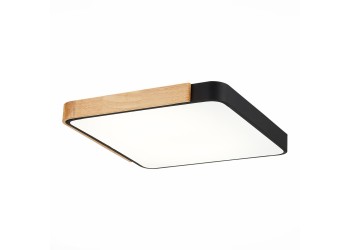 Потолочный сетодиодный светильник Evoluce Festa SLE201242-01