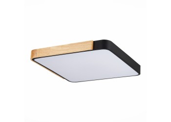 Потолочный сетодиодный светильник Evoluce Festa SLE201242-01