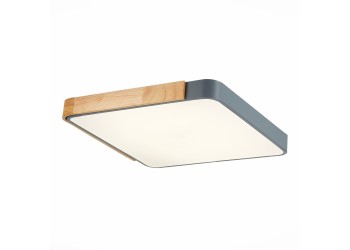 Потолочный сетодиодный светильник Evoluce Festa SLE201272-01