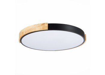 Потолочный сетодиодный светильник Evoluce Delia SLE201342-01