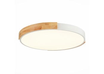 Потолочный сетодиодный светильник Evoluce Delia SLE201352-01