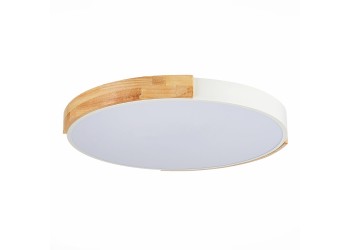 Потолочный сетодиодный светильник Evoluce Delia SLE201352-01