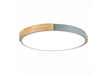 Потолочный сетодиодный светильник Evoluce Delia SLE201372-01