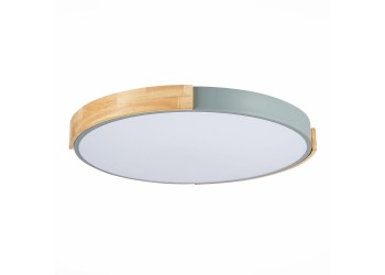 Потолочный сетодиодный светильник Evoluce Delia SLE201372-01