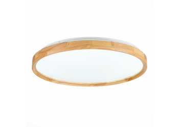 Потолочный сетодиодный светильник Evoluce Delia SLE201382-01