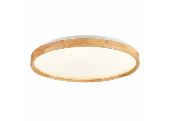 Потолочный сетодиодный светильник Evoluce Delia SLE201382-01