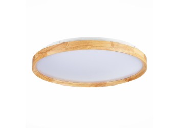 Потолочный сетодиодный светильник Evoluce Delia SLE201382-01