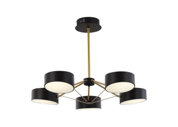 Потолочная светодиодная люстра Evoluce Valle SLE6005-402-05