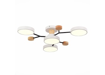 Потолочная светодиодная люстра Evoluce FAEMA SLE6006-502-04