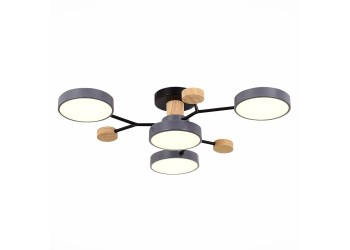 Потолочная светодиодная люстра Evoluce FAEMA SLE6006-702-04