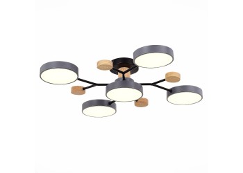 Потолочная светодиодная люстра Evoluce FAEMA SLE6006-702-05