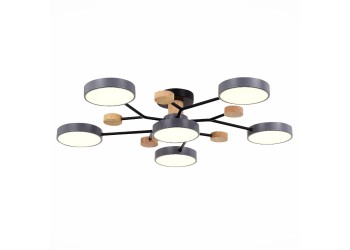 Потолочная светодиодная люстра Evoluce FAEMA SLE6006-702-06