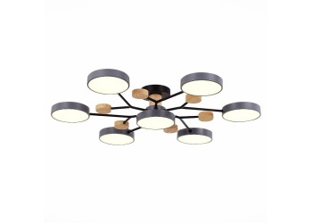 Потолочная светодиодная люстра Evoluce FAEMA SLE6006-702-07