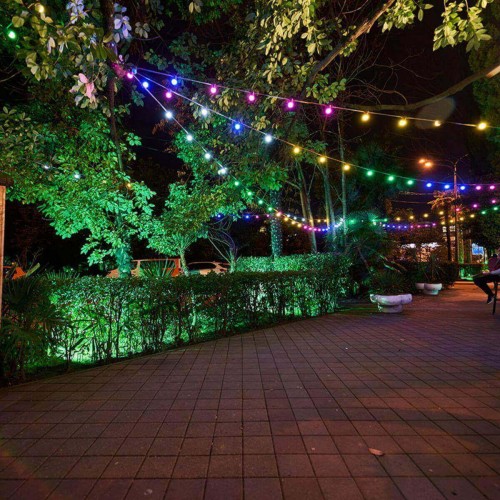 Уличная гирлянда Uniel 230V черный UDL-K121 10/E27/5M 5C IP65 Black Belt-Light UL-00007150, купить в Минске по самой низкой цене