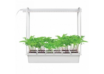 Светодиодный светильник для растений Uniel Minigarden ULT-P34-10W/Sple IP40 White 12 UL-00004998
