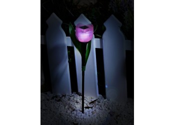 Светильник на солнечных батареях Uniel Promo USL-C-451/PT305 Pink Tulip UL-00004276