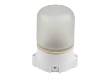 Потолочный влагозащищенный светильник для бань и саун Uniel UWL-K01R 60W/E27 IP65 White UL-00011471