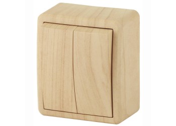 Переключатель двухклавишный с подсветкой ЭРА Эксперт 10AX 250V 11-1205-11 Б0020668