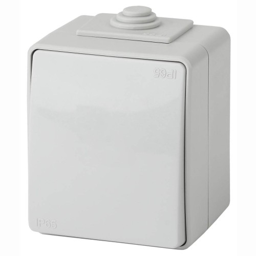 Переключатель одноклавишный ЭРА Эксперт 10AX 250V IP65 11-1603-03 Б0035975, купить в Минске по самой низкой цене