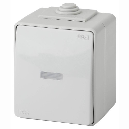 Переключатель одноклавишный с подсветкой ЭРА Эксперт 10AX 250V IP65 11-1610-03 Б0035981, купить в Минске по самой низкой цене