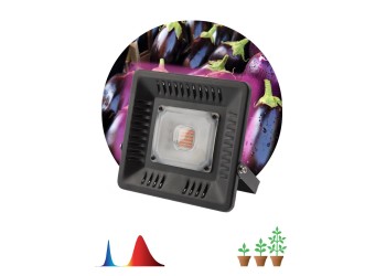 Прожектор светодиодный ЭРА 50W 1370K Fito-50W-Led Б0039033