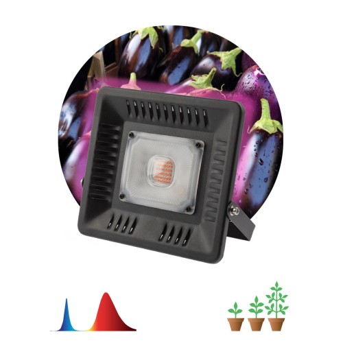 Прожектор светодиодный ЭРА 50W 1370K Fito-50W-Led Б0039033, купить в Минске по самой низкой цене