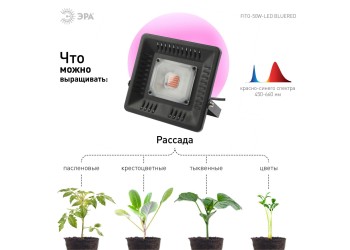 Прожектор светодиодный ЭРА 50W 1370K Fito-50W-Led Б0039033