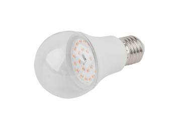 Лампа светодиодная для растений ЭРА E27 11W 2150K прозрачная FITO-11W-Ra90-E27 Б0039172