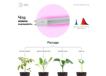 Лампа светодиодная для растений ЭРА G13 9W 1200K прозрачная Fito-9W-RB-Т8-G13-NL Б0042986