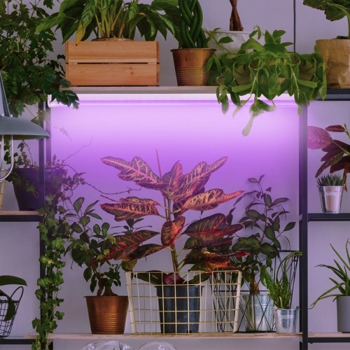 Лампа светодиодная для растений ЭРА G13 18W 1200K прозрачная Fito-18W-RB-Т8-G13-NL Б0042990, купить в Минске по самой низкой цене