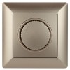 Диммер поворотный ЭРА Intro Solo 600W шампань 4-401-04 Б0043399, купить в Минске по самой низкой цене
