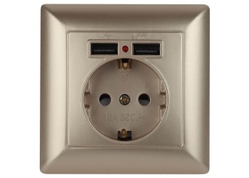 Розетка ЭРА Intro Solo Schuko P+E 16A 250V со шторками 2хUSB шампань 4-410-04 Б0043406