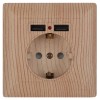 Розетка ЭРА Intro Solo Schuko P+E 16A 250V со шторками 2хUSB дерево 4-410-11 Б0043409, купить в Минске по самой низкой цене