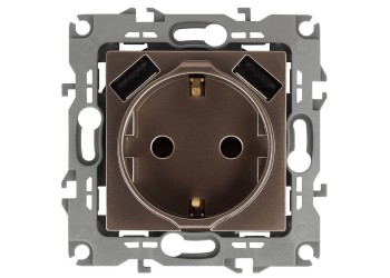Розетка ЭРА Intro Solo Schuko P+E 16A 250V со шторками 2хUSB бронза 12-4109-13 Б0047847