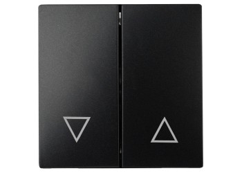 Лицевая панель ЭРА выключателя двухклавишного антрацит 12-6203-05 Б0047854