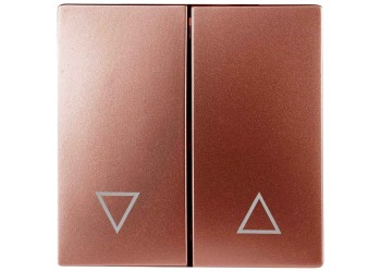 Лицевая панель ЭРА выключателя двухклавишного медь 12-6203-14 Б0047858