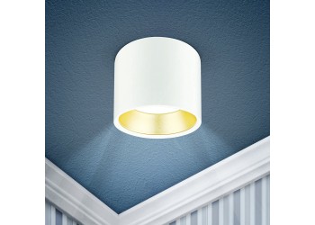 Накладной светильник ЭРА OL8 GX53 WH/GD Б0048536