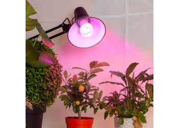 Лампа светодиодная для растений ЭРА E27 14W 1310K прозрачная Fito-14W-RB-E27 Б0050602