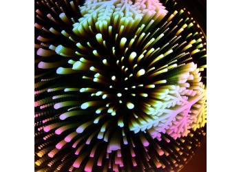 Светодиодная новогодняя фигура ЭРА ENGDS-14 Новогодний лес 6 LED Б0051950